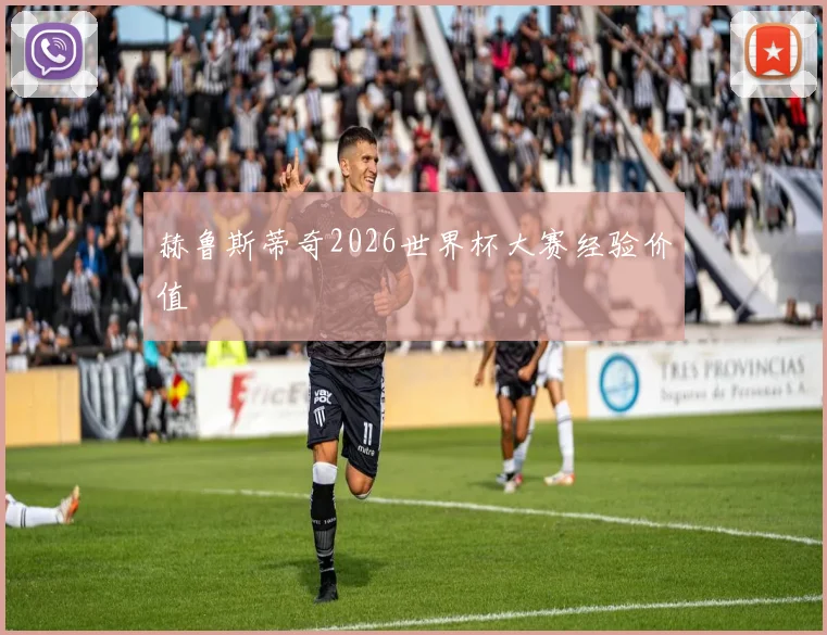 赫鲁斯蒂奇2026世界杯大赛经验价值