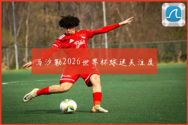 马沙勒2026世界杯球迷关注度