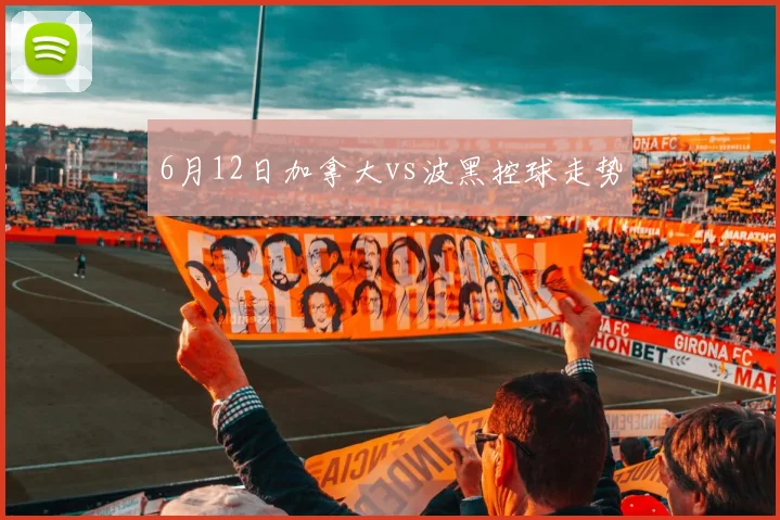 6月12日加拿大vs波黑控球走势